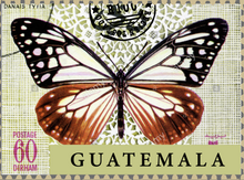 Cargar imagen en el visor de la galería, Guatemala
